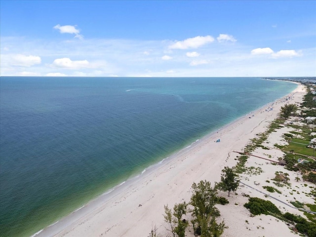 912 Hampton Rd, Nokomis, FL 34275 - photo 61