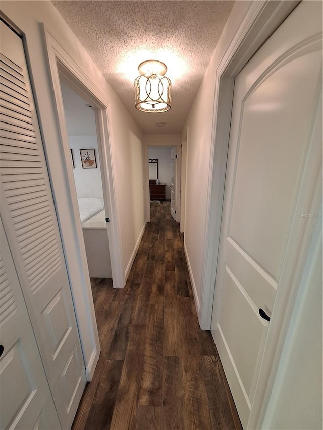 4022 Beaver Ln Unit 1000G, Port Charlotte, FL 33952 - hall with a textured ceiling and dark wood-style flooring