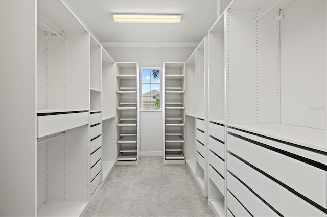 12301 Auburndale Ct, Venice, FL 34293 - spacious closet featuring light carpet