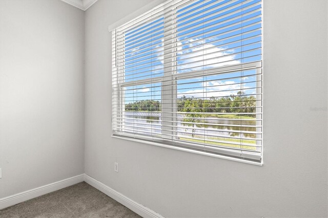 12301 Auburndale Ct, Venice, FL 34293 - empty room featuring carpet floors and crown molding