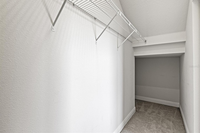 12301 Auburndale Ct, Venice, FL 34293 - walk in closet with carpet floors