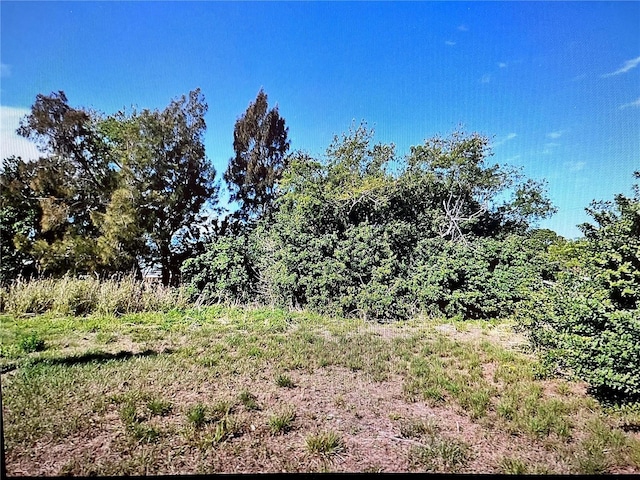 LOT42 Venetia Ave, North Port, FL 34287 - photo 2