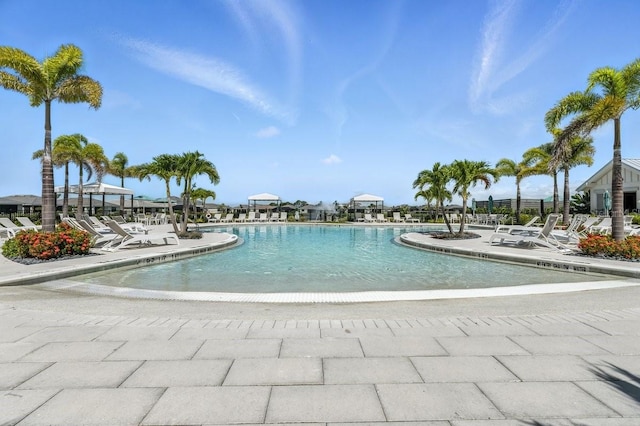 18525 Midsummer Pl, Venice, FL 34293 - community pool featuring a patio area