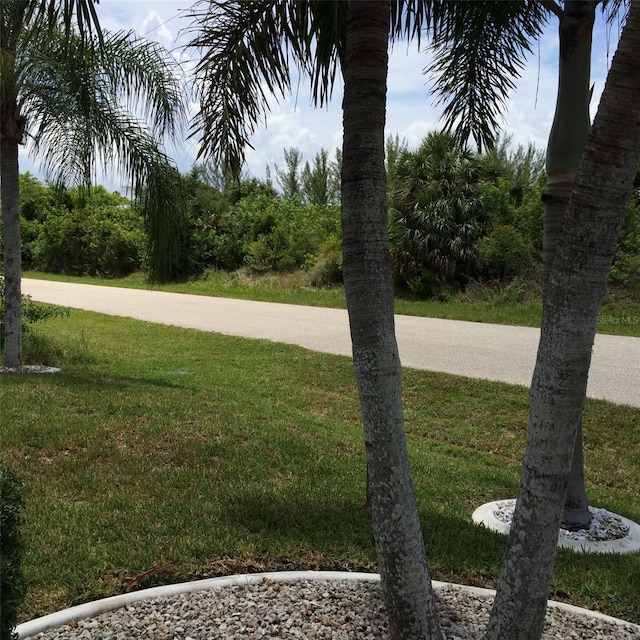 15140 Lyneburg Ave, Port Charlotte, FL 33981 - view of green lawn
