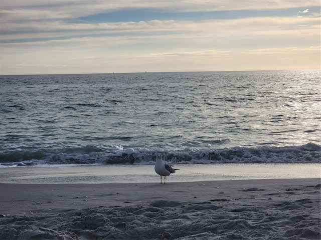 15140 Lyneburg Ave, Port Charlotte, FL 33981 - water view with nearby beach