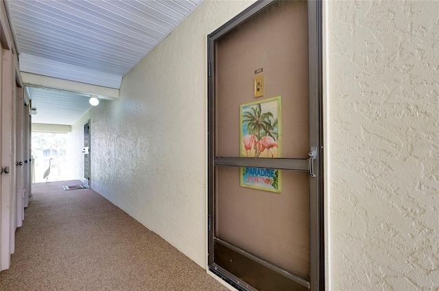 650 Bird Bay Dr E Unit 203, Venice, FL 34285 - photo 39