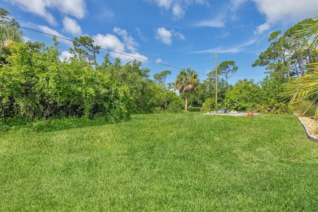 825 Calvert Ave NW, Port Charlotte, FL 33948 - photo 31