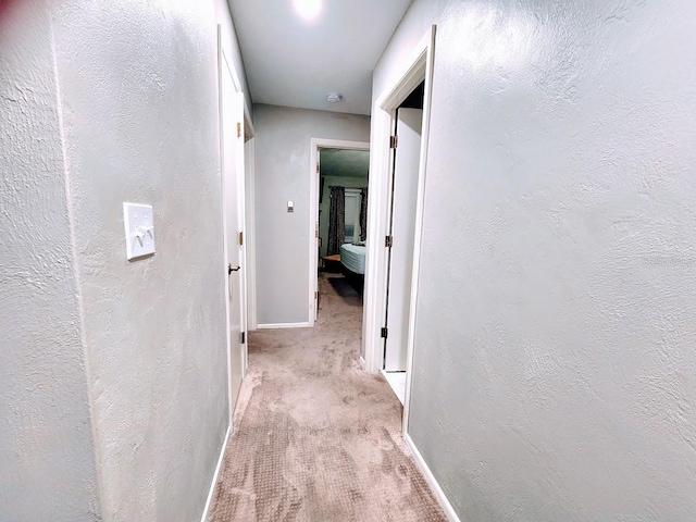 817 Sorrento Pl Unit 817, Nokomis, FL 34275 - photo 25