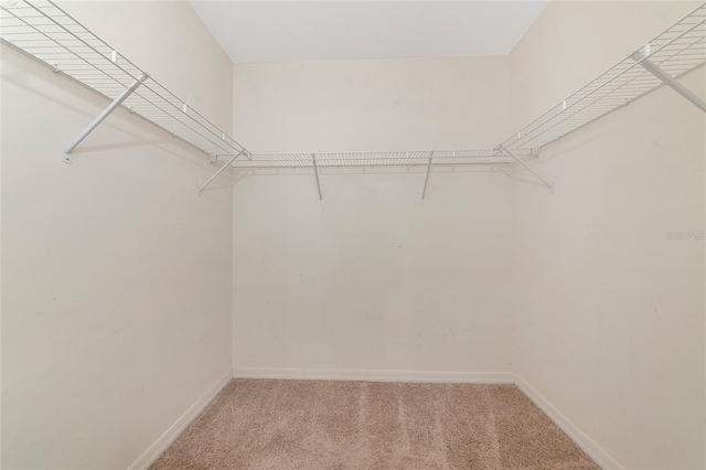 3789 Cinderella Rd, North Port, FL 34286 - photo 29