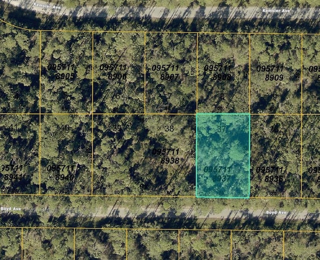 Boyd Ave, North Port, FL 34286 - photo 2