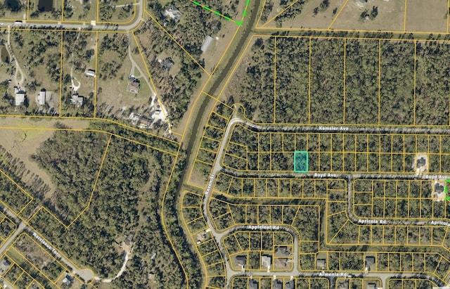 Boyd Ave, North Port, FL 34286 - photo 3