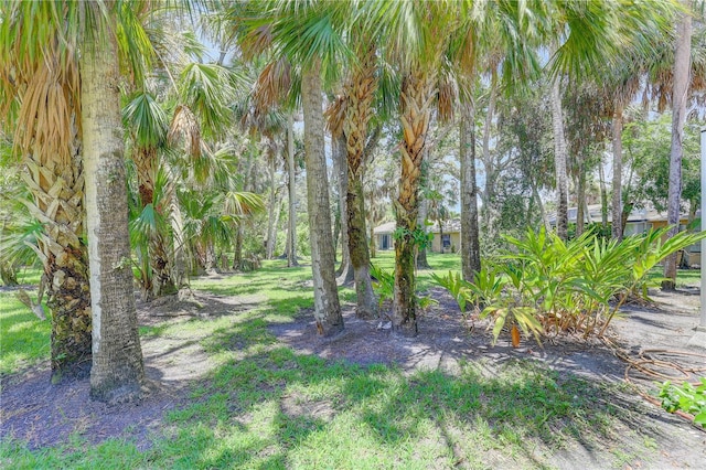 5065 Village Gardens Dr Unit 8, Sarasota, FL 34234 - photo 29