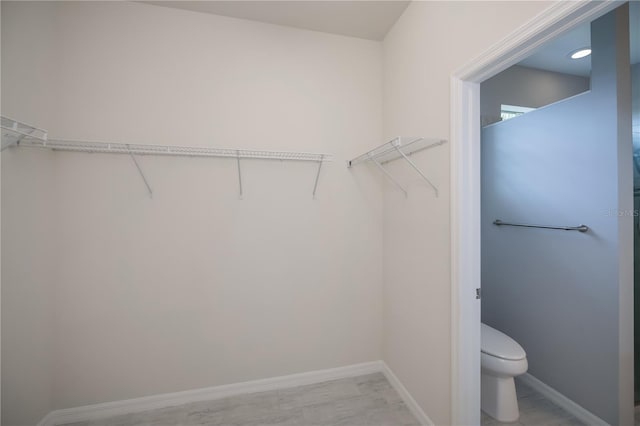 13696 Rosalia St, Venice, FL 34293 - photo 35
