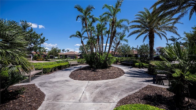 13696 Rosalia St, Venice, FL 34293 - photo 63