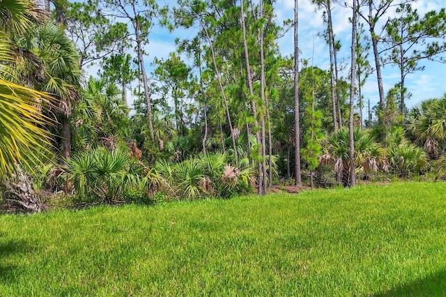 1667 Russellville St, North Port, FL 34288 - photo 39