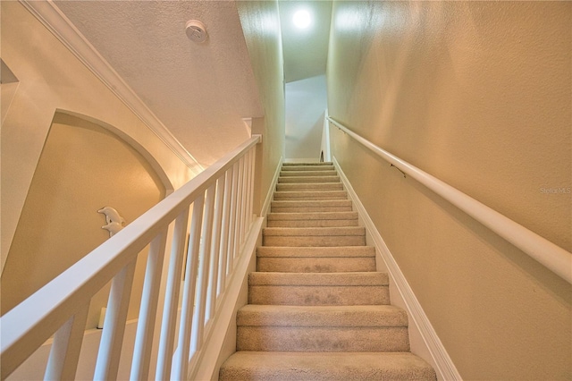 5288 Layton Dr, Venice, FL 34293 - photo 41