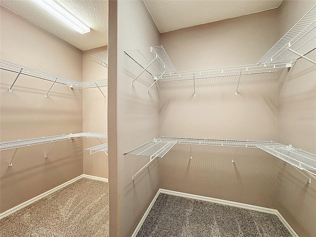 600 Cockatoo Cir, Venice, FL 34285 - photo 16