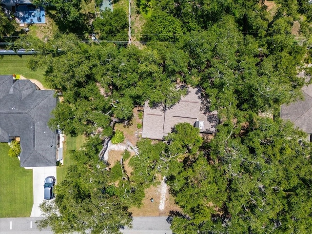 2005 Faun Rd, Venice, FL 34293 - photo 44