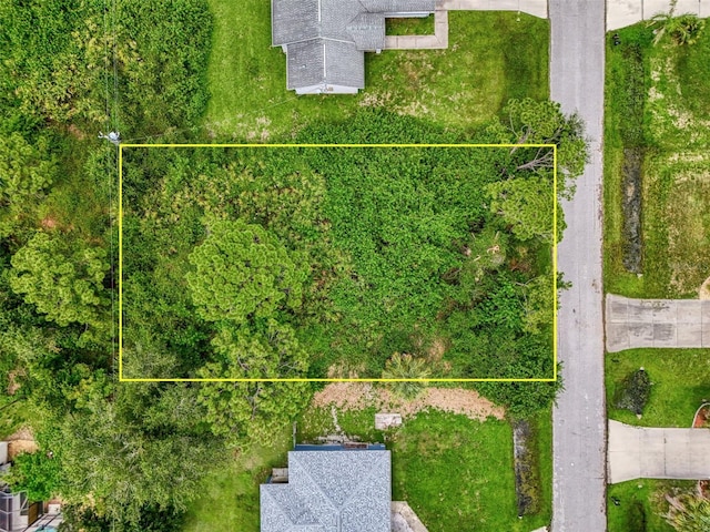 Duar Ter, North Port, FL 34291 - photo 32
