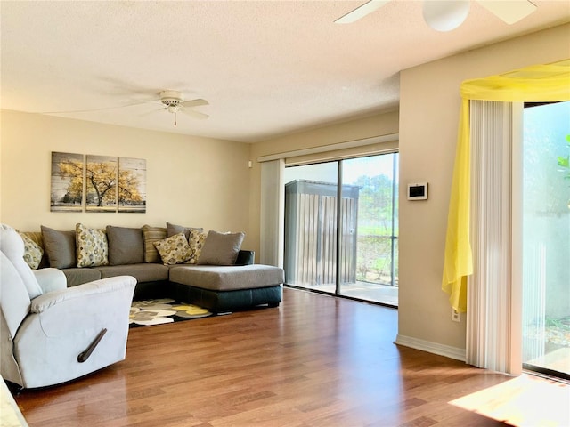 5554 Swift Rd Unit 2, Sarasota, FL 34231 - photo 2