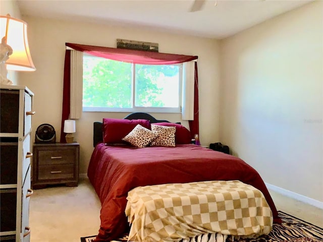 5554 Swift Rd Unit 2, Sarasota, FL 34231 - photo 17