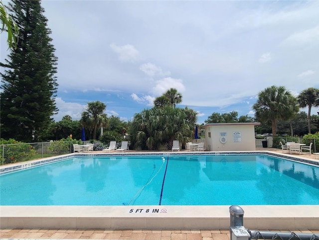 5554 Swift Rd Unit 2, Sarasota, FL 34231 - photo 29