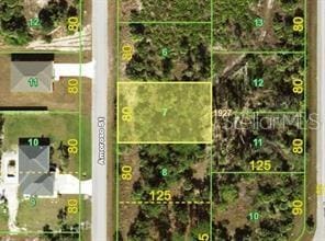 4186 Amoroso St, Port Charlotte, FL 33981 - photo 1