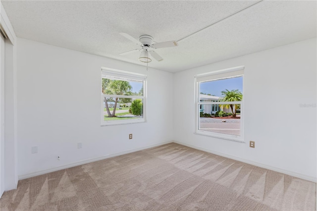 541 Circlewood Dr Unit R9, Venice, FL 34293 - photo 22