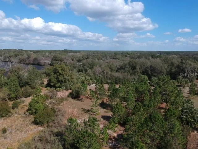 0 Crooked Mile Rd, Paisley FL, 32767 land for sale