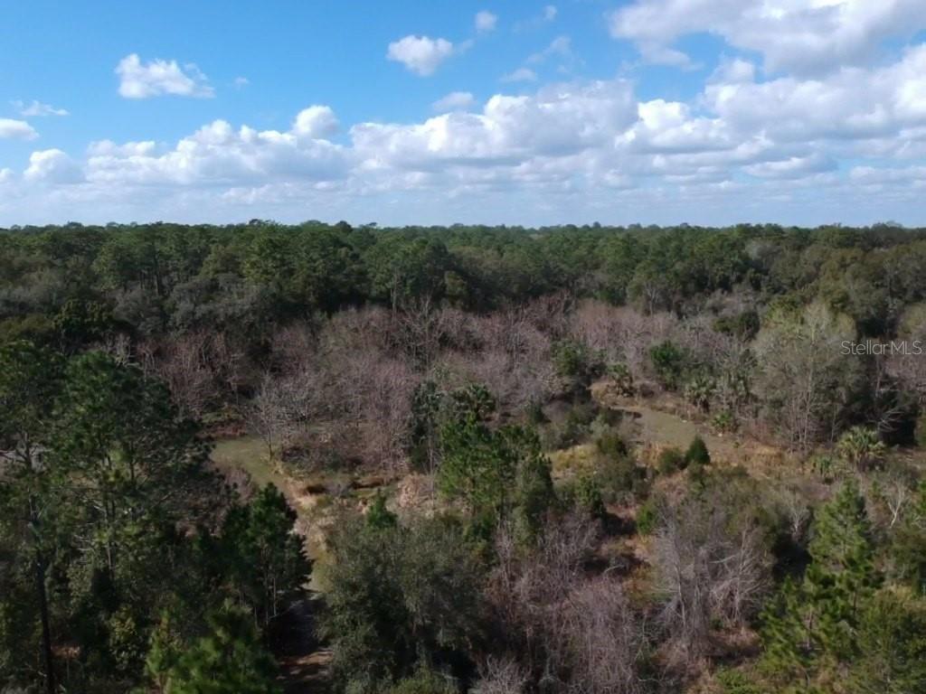 00 Crooked Mile Rd, Paisley, FL 32767 - photo 1