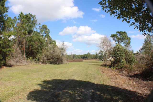 0 Gracie Dr, Paisley FL, 32767 land for sale