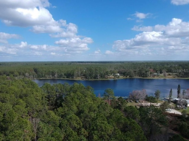 Listing photo 3 for 0 Gracie Dr, Paisley FL 32767