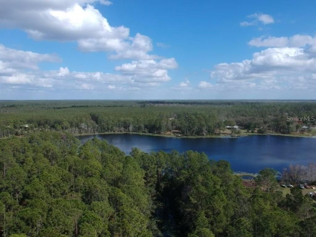 0 Fishermans Rd, Paisley FL, 32767 land for sale