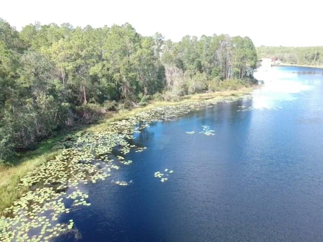 Listing photo 2 for 0 Fishermans Rd, Paisley FL 32767