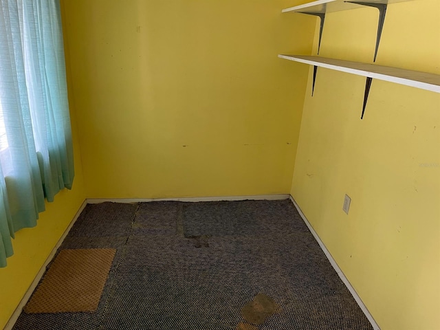 spare room featuring carpet floors