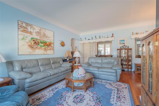 living room featuring wood-type flooring