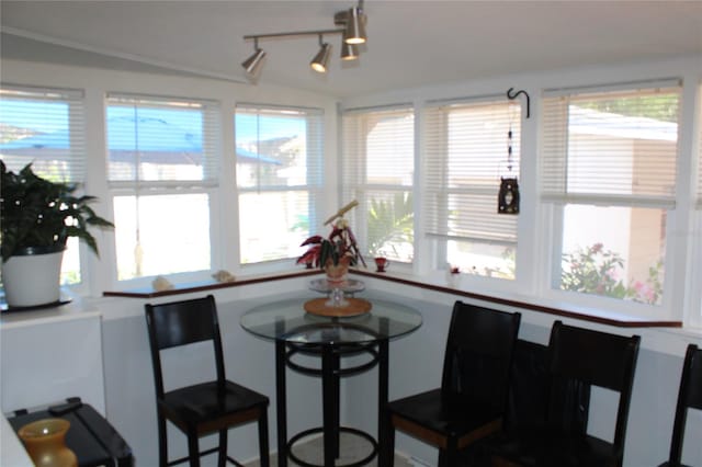 dining space with plenty of natural light and rail lighting