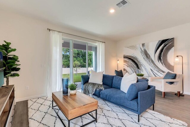 living room featuring light hardwood / wood-style floors