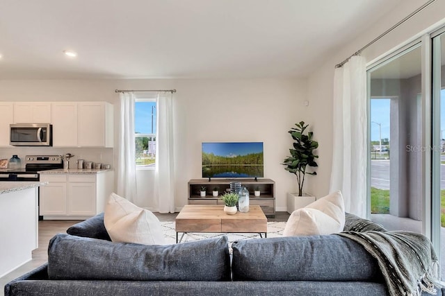 living room featuring light hardwood / wood-style floors