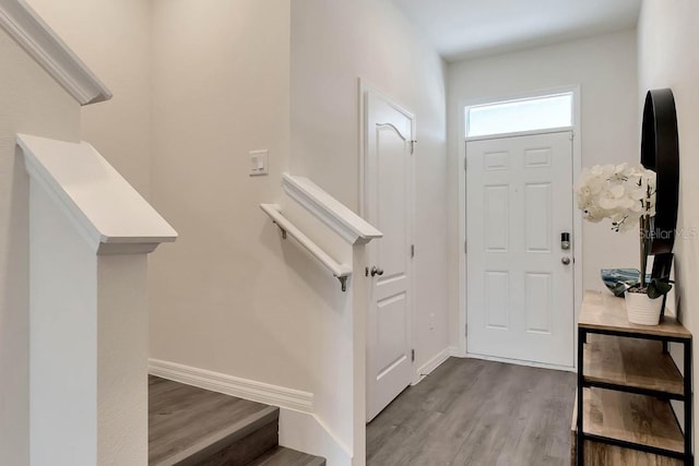 entryway featuring wood-type flooring