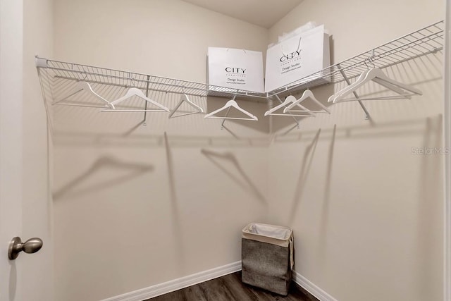 walk in closet with dark wood-type flooring