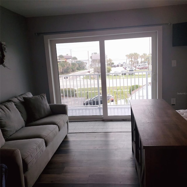 living room featuring dark wood-type flooring