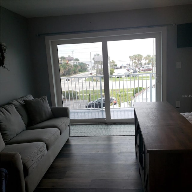 living room with dark hardwood / wood-style floors