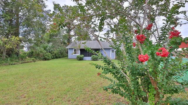 2801 Nordman Ave, New Smyrna Beach, FL 32168 - view of yard