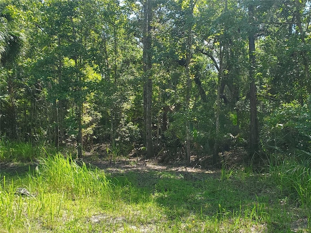 Listing photo 2 for 00 Withlacoochee Pt, Geneva FL 32732