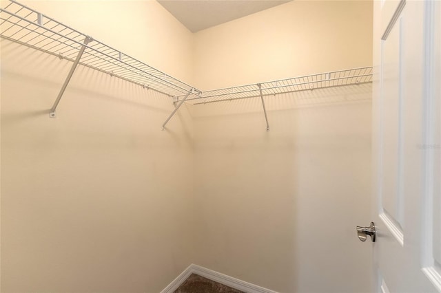 view of walk in closet