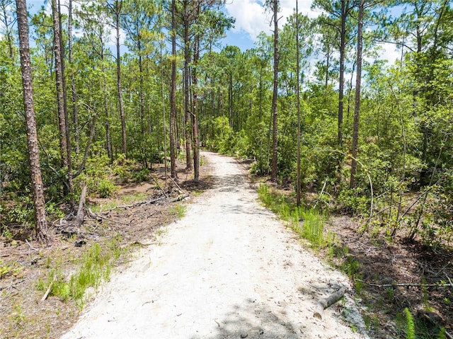 Cedar Rd, New Smyrna Beach, FL 32168 - photo 3