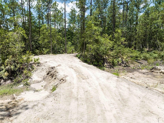 Cedar Rd, New Smyrna Beach, FL 32168 - photo 5