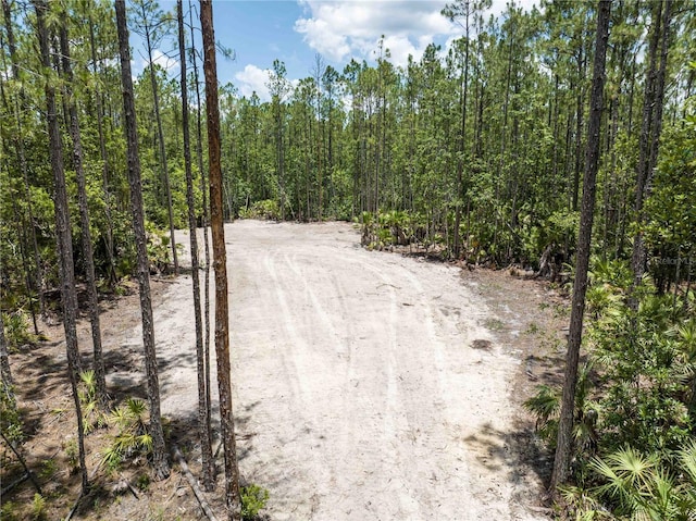 Cedar Rd, New Smyrna Beach, FL 32168 - photo 6