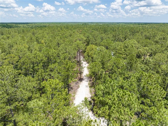 Cedar Rd, New Smyrna Beach, FL 32168 - photo 9